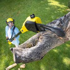 Best Tree and Shrub Care  in Huntgton, IN